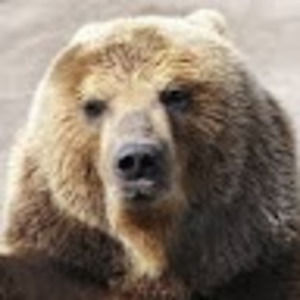 Meet your Posher, Connie